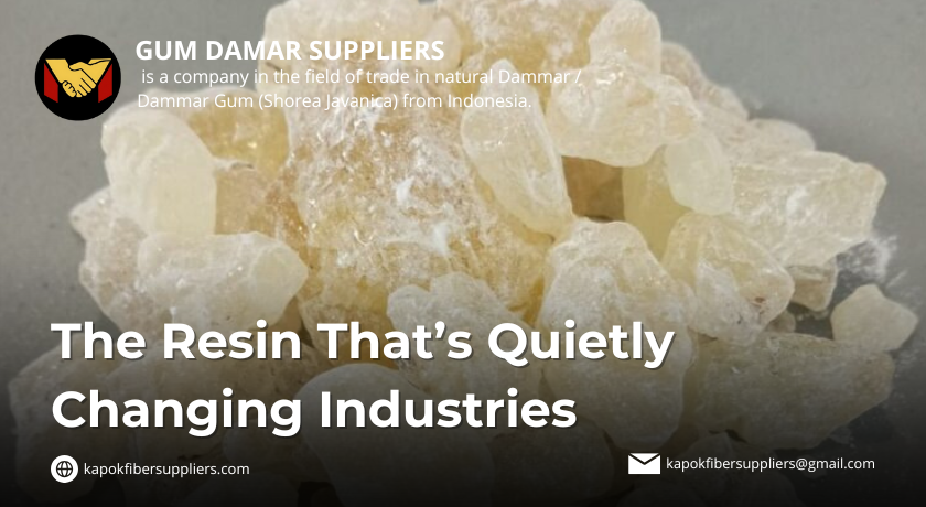 gum damar