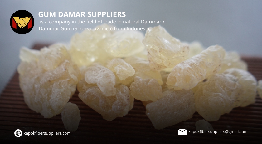 gum damar