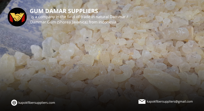gum damar