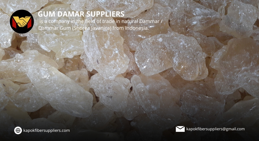 gum damar