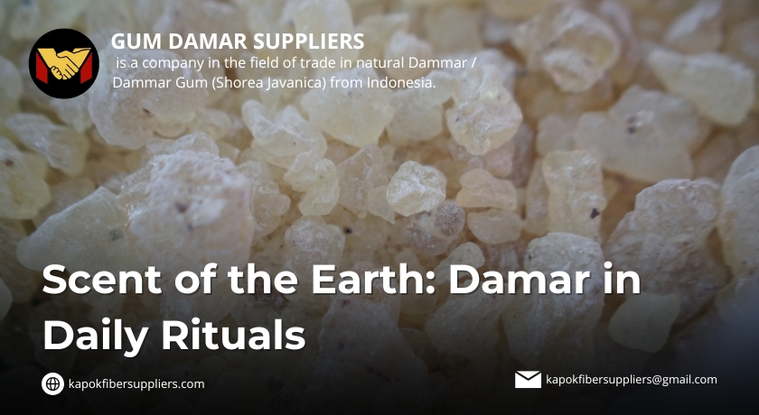 gum damar