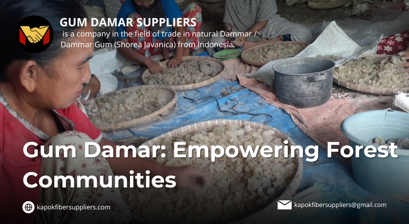 gum damar