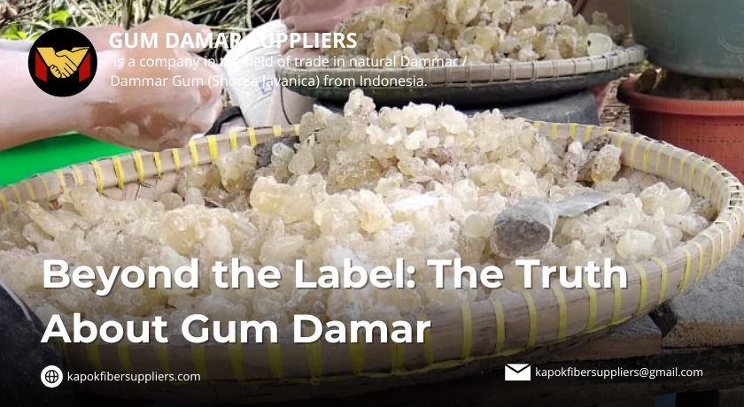gum damar