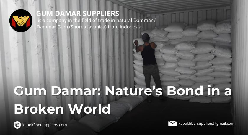 gum damar
