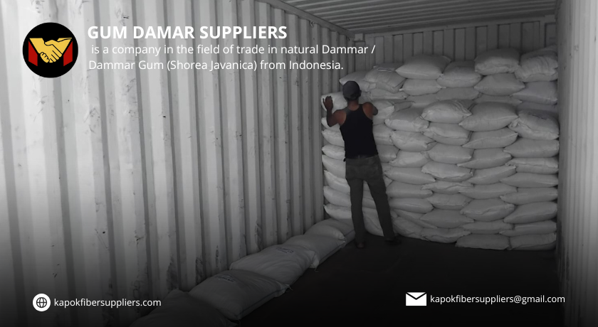 gum damar