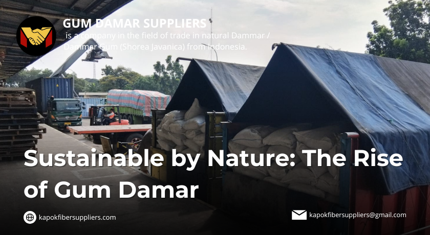 gum damar