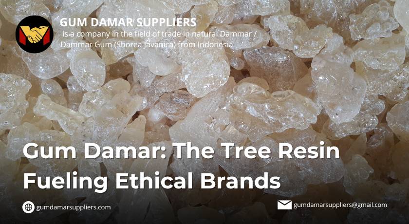 gum damar