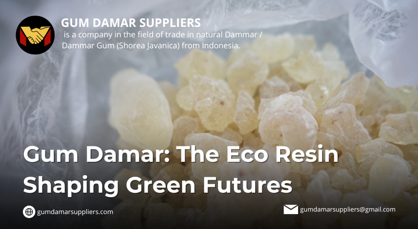 gum damar