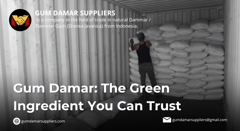 gum damar