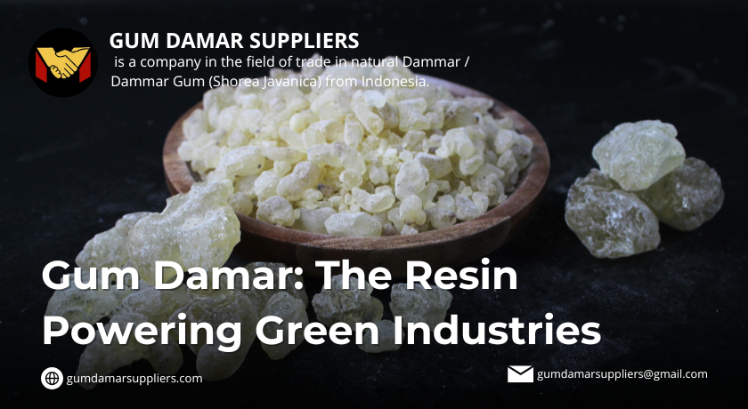 GUM DAMAR