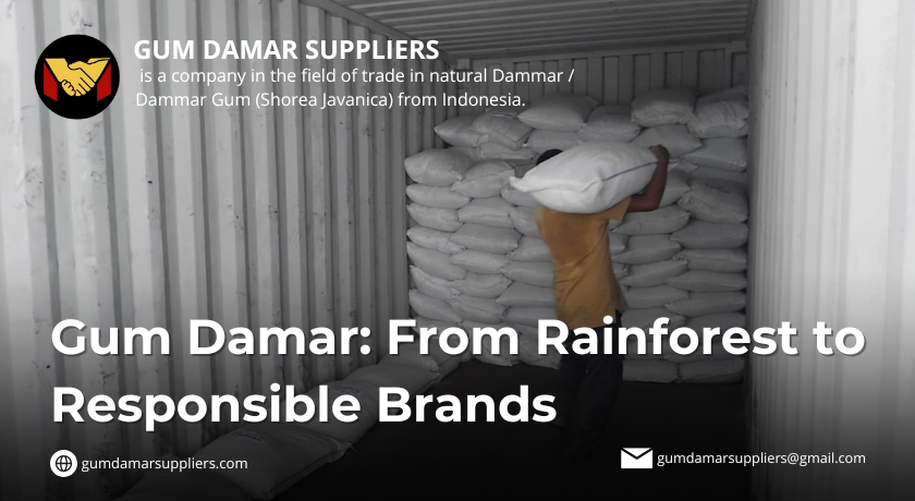 gum damar