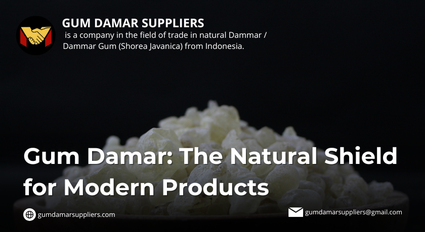 gum damar