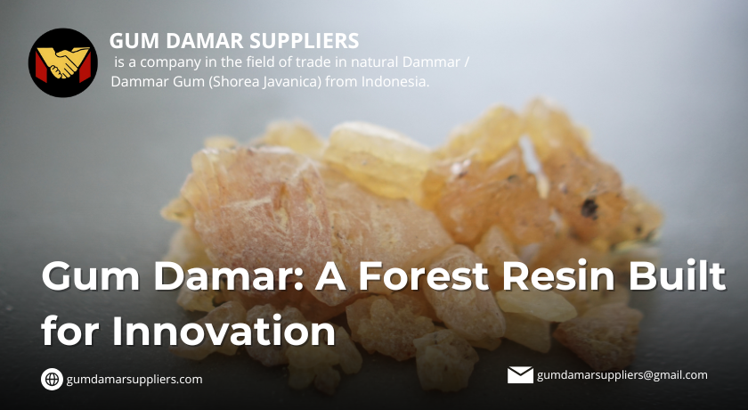gum damar