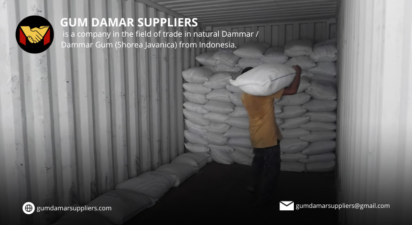 gum damar