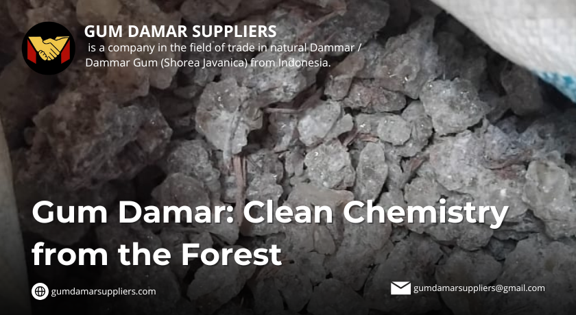 gum damar