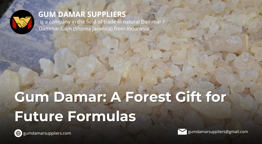gum damar