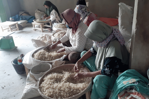gum damar suppliers
