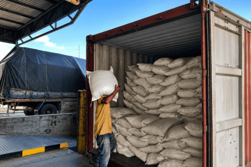 goma damar suppliers